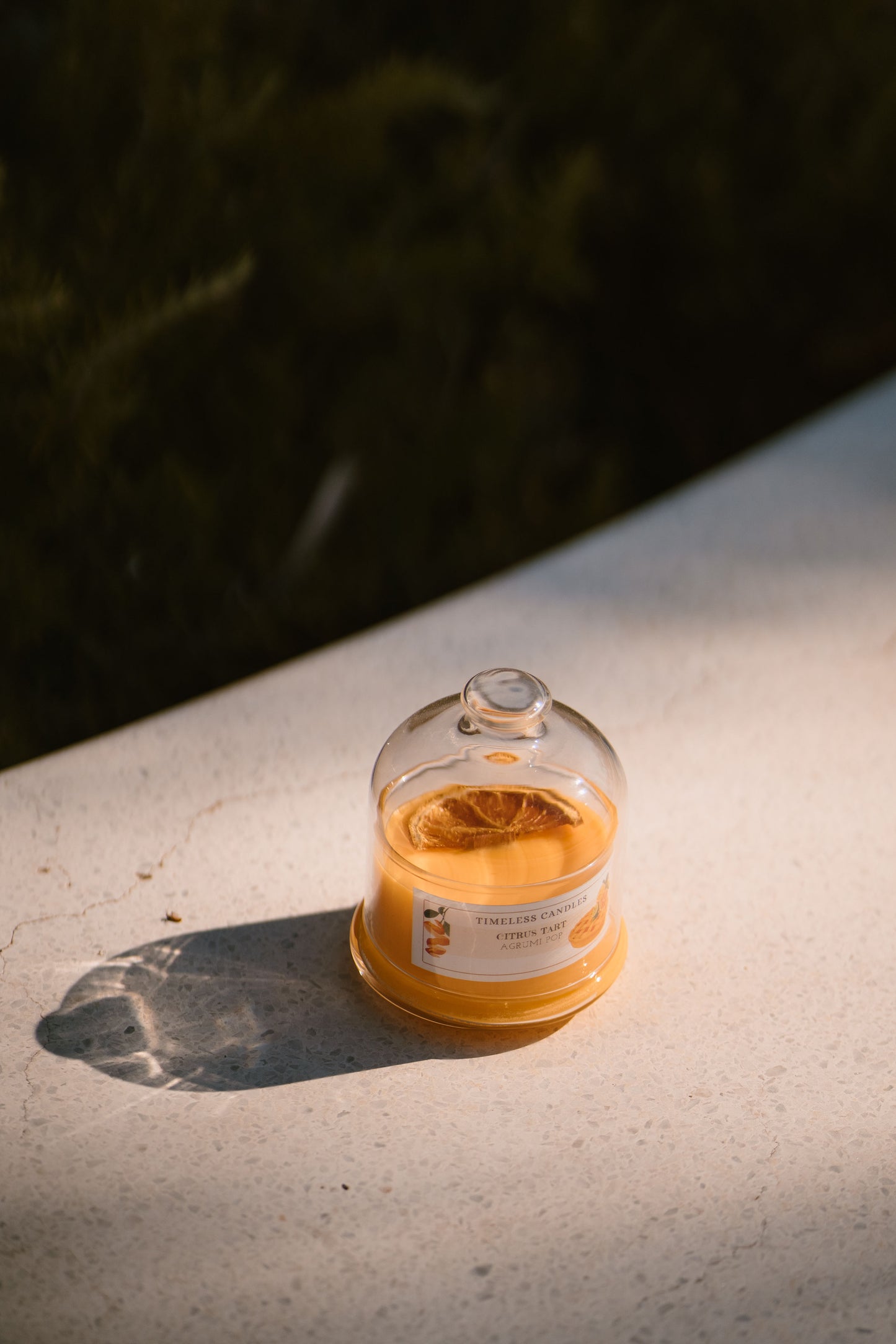 Citrus Tart-Agrumi Pop